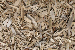 biomass boilers Clippings Green